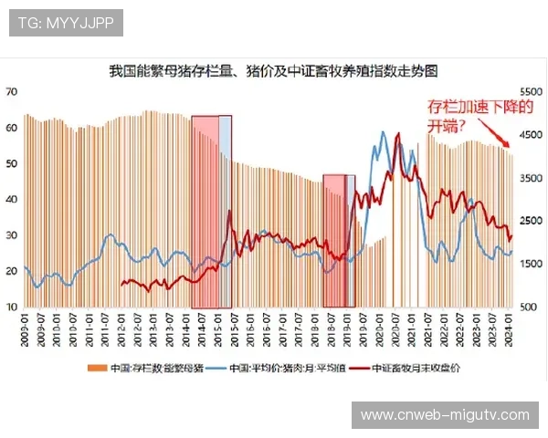 冬季项目南半球推广困境，气候条件限制参与度提升